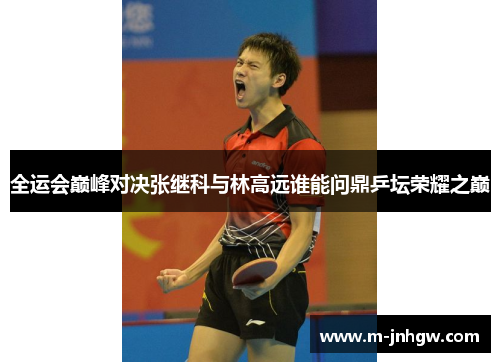 全运会巅峰对决张继科与林高远谁能问鼎乒坛荣耀之巅